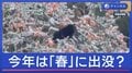 今年は「春」から異変?年末年始もクマ続出 対策のカギは