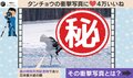 豪快な“飛び蹴り”…日本最大級の鶴・タンチョウの衝撃的な姿に「すごい瞬間」「ダイナミックすぎる!!」の声