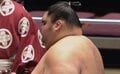 「すげーフォルム」182キロの“まん丸”序二段力士 驚異の体躯に驚きの声 巨漢生かしてがっちり5勝目