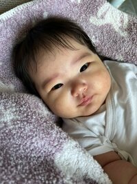 内山信二『ムチムチちゃん‼️』