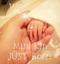 キンタロー。『☆ご報告☆』