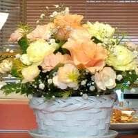 水前寺清子『デビュー記念日』