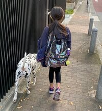 高岡早紀『今朝も元気いっぱい。』