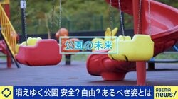 ボール禁止、自転車禁止、ついには年齢制限も…管理の名の下に自由を奪われた日本の公園 専門家が指摘する異様な現状とは