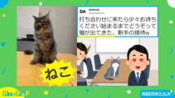 ご足労おかけしましたニャ！ 接待担当はまさかの“猫”　投稿主「最高でした」