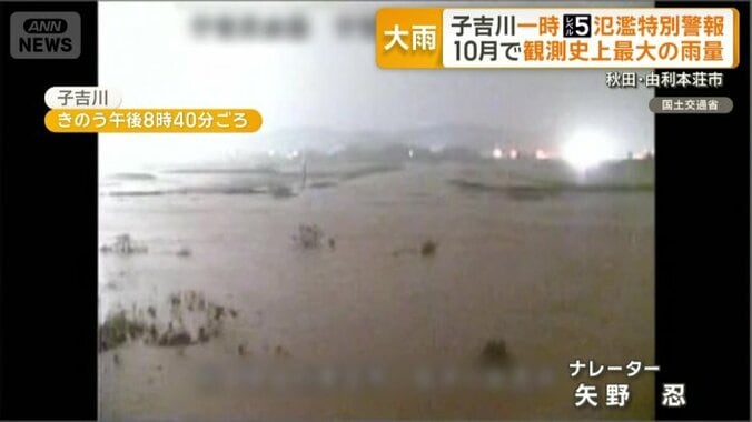 水位が上がり木がつかる子吉川