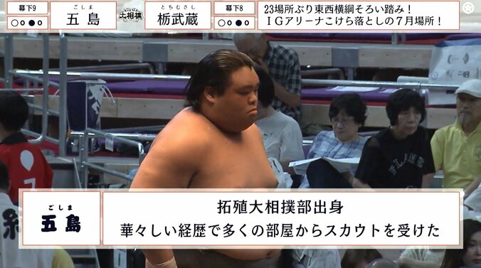 幕下九枚目・五島（藤島）