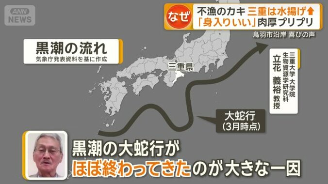 「黒潮の大蛇行がほぼ終わってきたのが大きな一因」