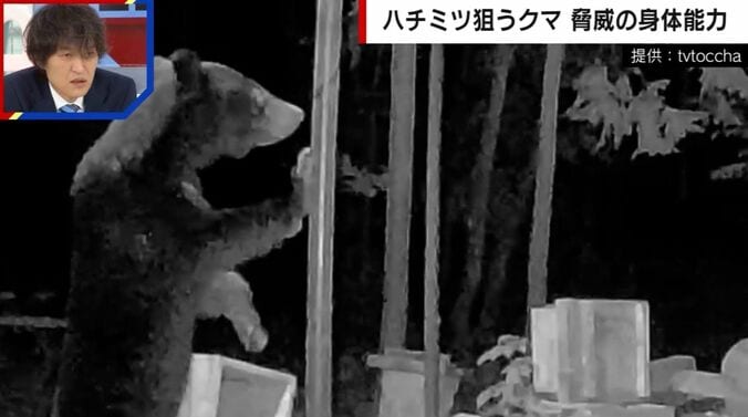 提供：tvtoccha