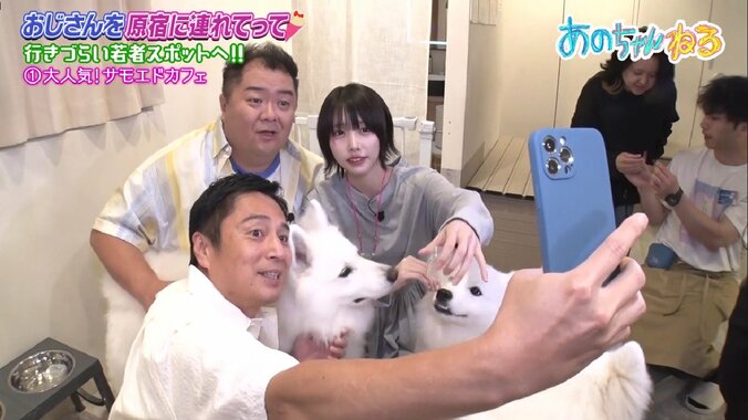 あのちゃんねる