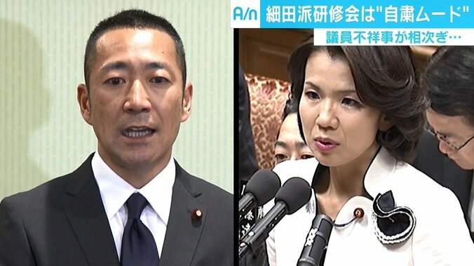 自民党内で弱体化する“派閥”の力、識者「民意を反映する回路が狭くなっている」 2枚目