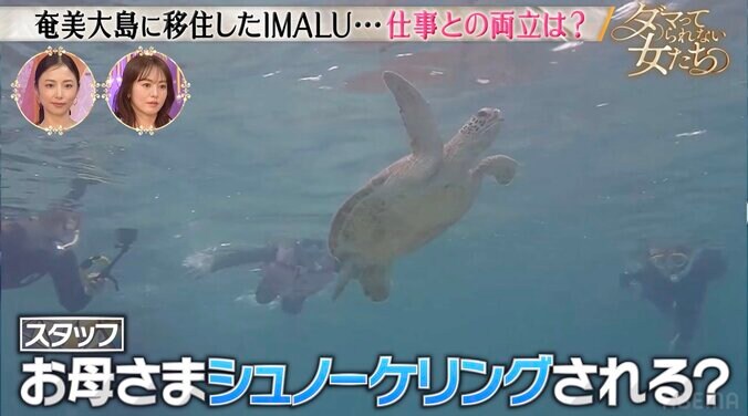 【写真・画像】奄美大島に移住したIMALU、母・大竹しのぶとシュノーケリングを満喫「元気すぎます」　2枚目