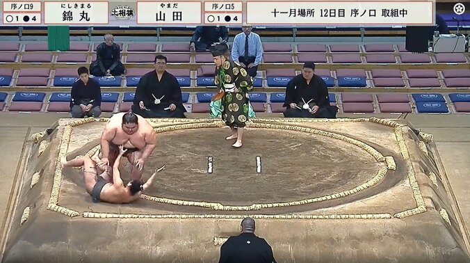 身長174.5センチ、体重226.9キロで22歳の錦丸