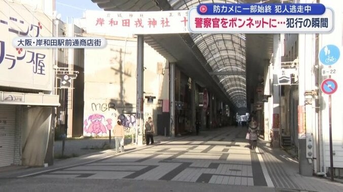 だんじりが通るメインロードにもなっている場所