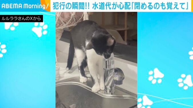 「えるる」くん