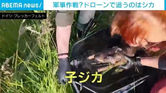 ドイツ