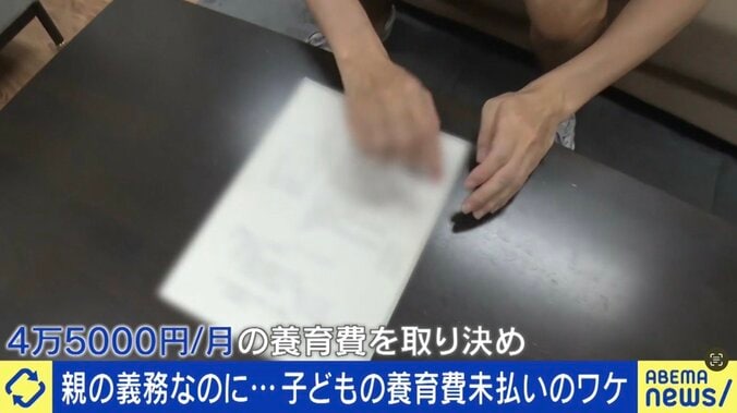 受給率3割以下の実情 親の義務なのに…子どもの養育費“未払い”のワケは？当事者「生きてるか死んでるかわからないのに払えと言われても…一方的すぎる」 6枚目
