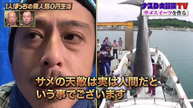サメの天敵はシャチではなく…ナスD「毎年日本人の人口ぐらいのサメが、人間によって殺されている」 5枚目