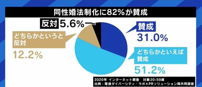 結婚の目的は“子どものため”!? 同性婚訴訟で飛び出した国の主張に波紋…制度導入のカギは“自民党をどう動かすか”？ 12枚目