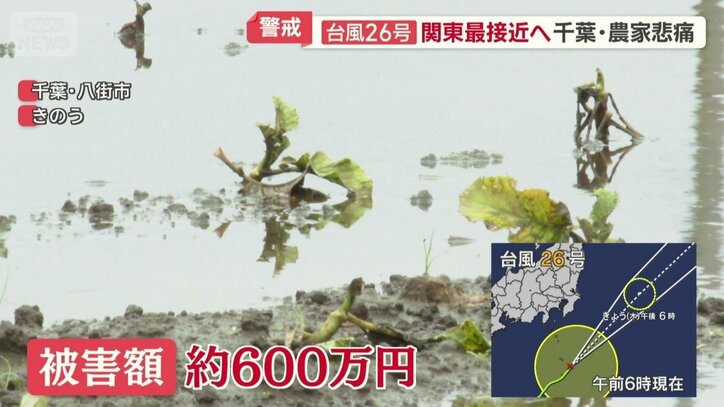 被害額は約600万円