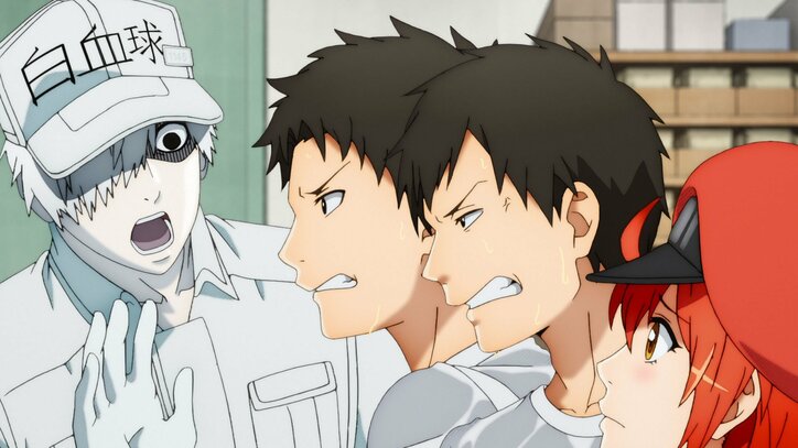 アニメ「はたらく細胞!!」場面カット、白血球と赤血球
