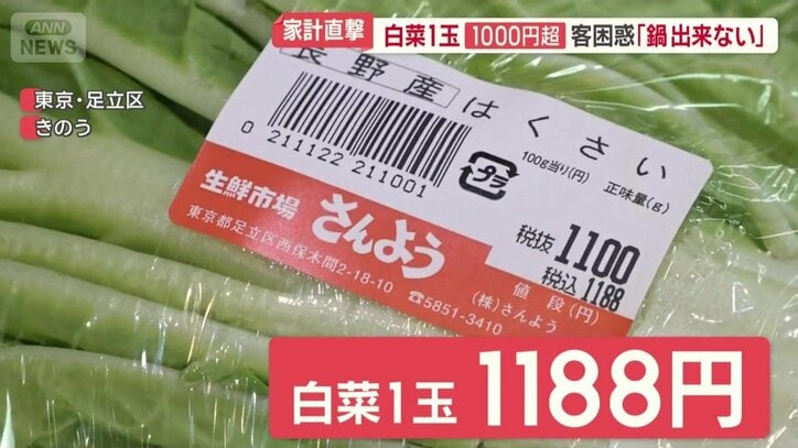ハクサイ1玉1188円