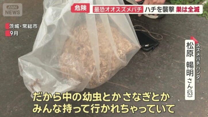 比較的大きな巣だが軽いという