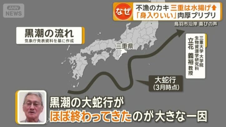 「黒潮の大蛇行がほぼ終わってきたのが大きな一因」