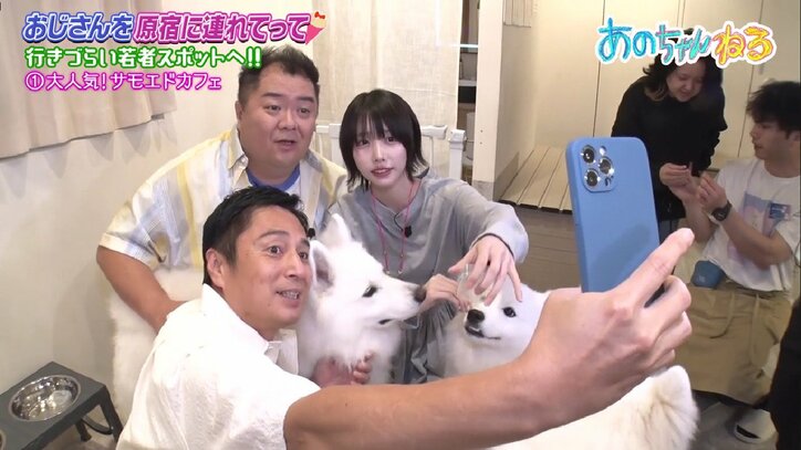 あのちゃんねる