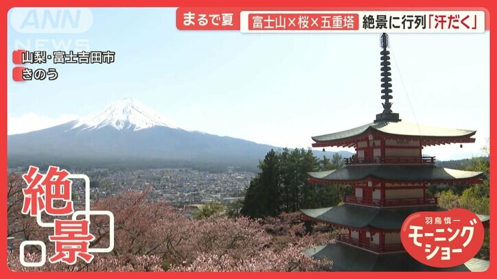 富士山×桜×五重塔 山梨・絶景スポットに行列「汗だく」 まるで夏…九州で真夏日も