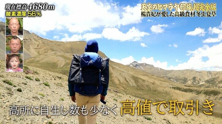 ヒマラヤで金に目が眩んだスタッフの姿にナスDがドン引き「確実に現金収入を得ようとしてる。みんな目がマジ」