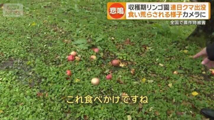 「これ食べかけですね」