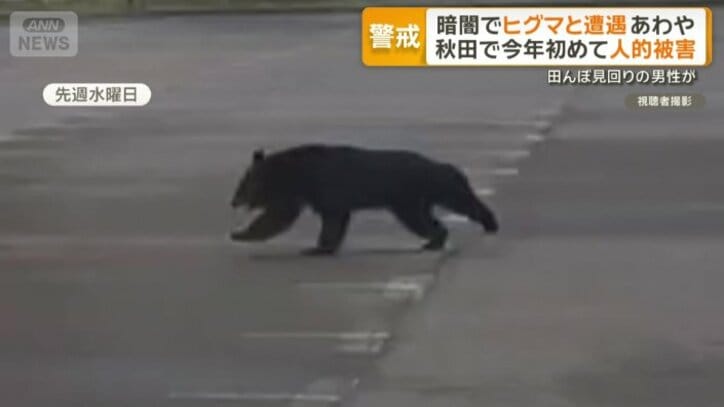 視聴者撮影