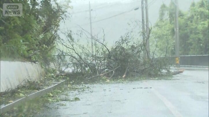 お盆休み前に“ダブル台風”沖縄で最大瞬間風速42m 15号は東北などを直撃か