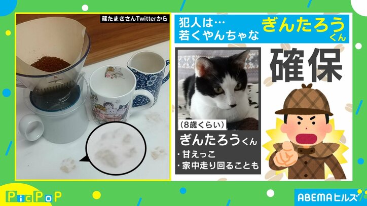 コーヒー粉を誤ってキッチンにブチまけた投稿者 粉をはらったときに浮かび上がった“キュートな足跡”に「可愛い不審者」「衝撃の犯罪w」とほっこり