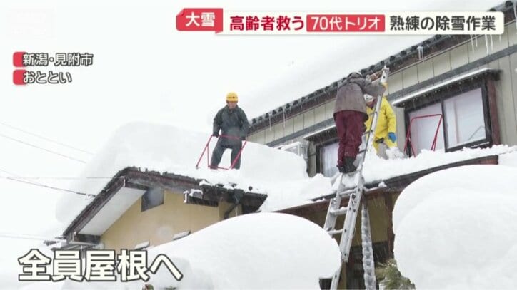 全員が屋根に