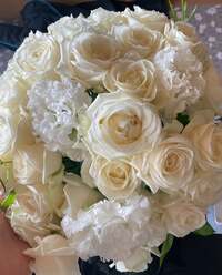 市川團十郎白猿『用事済ませて戻ったら』