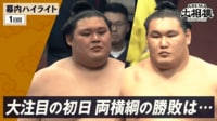2日目 幕内全取組ハイライト