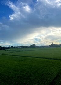 北斗晶『飼い主バカの心配性』