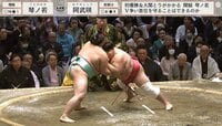 【映像】スー女タレントが驚いた好調力士の転倒