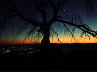 広瀬すず『2017』