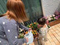 杉浦太陽『ひなたぼっこ・お掃除コア』