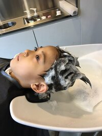 市川海老蔵『にてる』