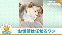 【映像】赤ちゃんに布団をかけてあげる様子