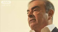 ゴーン被告日本メディアに対応　無罪を改めて主張