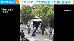 “ハンマー”で少年殴った男 逃走中