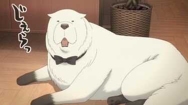 アニメ「スパイファミリー」ボンドはどんな犬？犬種や能力を解説
