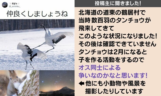 投稿主のコメント