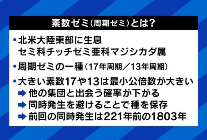 【写真・画像】ペットの“認知症”予防と対策は？「安楽死」を選択する人も…介護&看取った当事者に聞く「恩返しする最後のチャンス」　2枚目