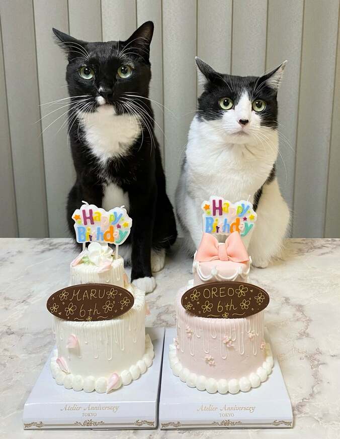 【写真・画像】SNS下書き_241218更新　※※露出系は配信先「nor.」を外すこと！！※※　1枚目